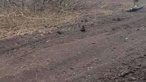Demining 102