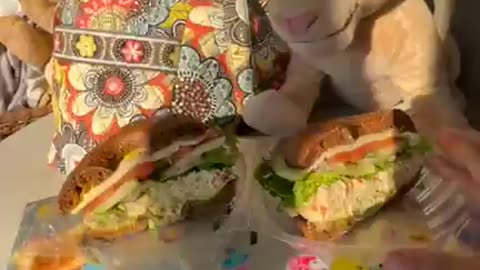 (Lion King Fashionista) "Still life with Nala & Bagel Sandwich)