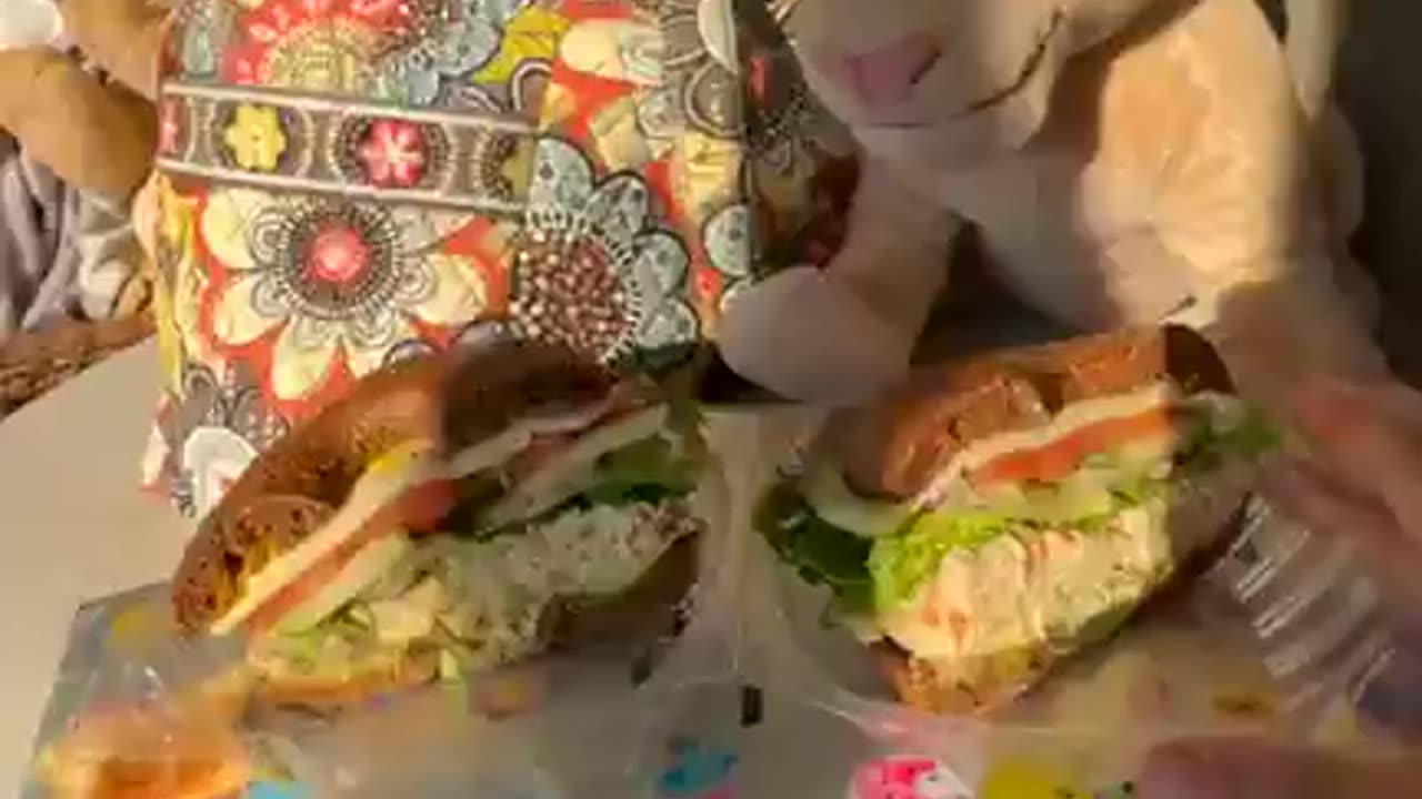 (Lion King Fashionista) "Still life with Nala & Bagel Sandwich)
