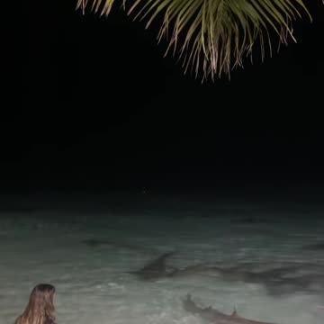 Would you sit in water full of sharks? (via:@shifaah1)