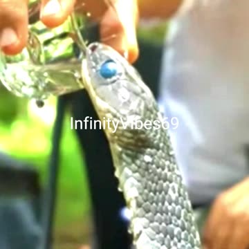 Adorable Animals That Melt Your Hearts!