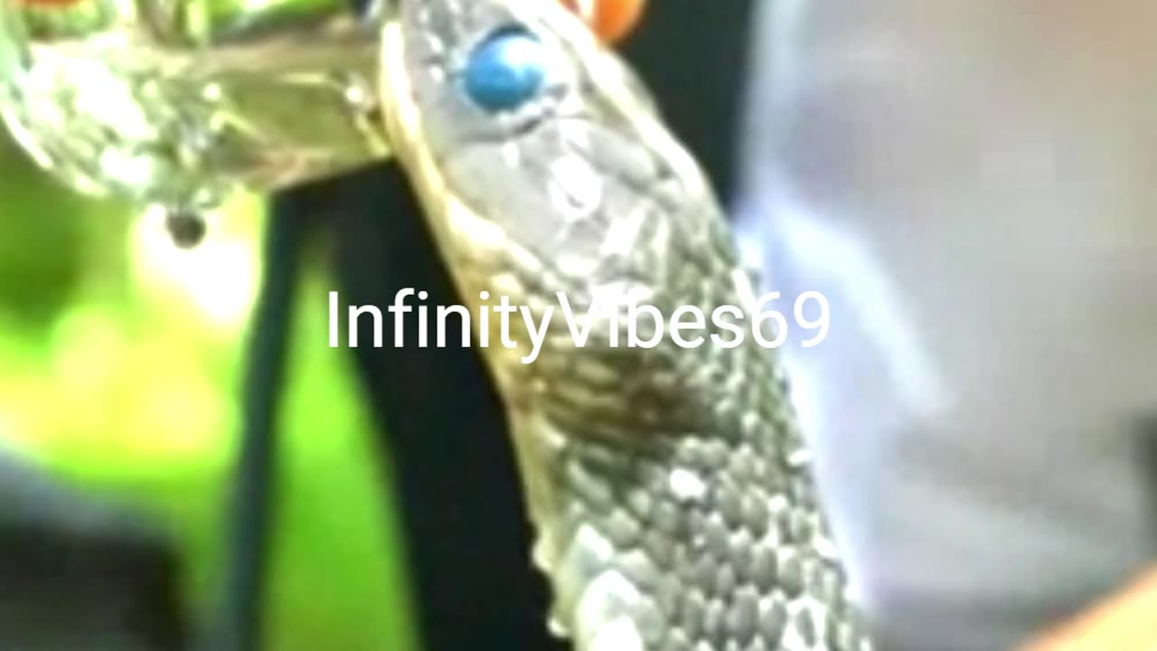 Adorable Animals That Melt Your Hearts!