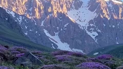 Kelardasht nature