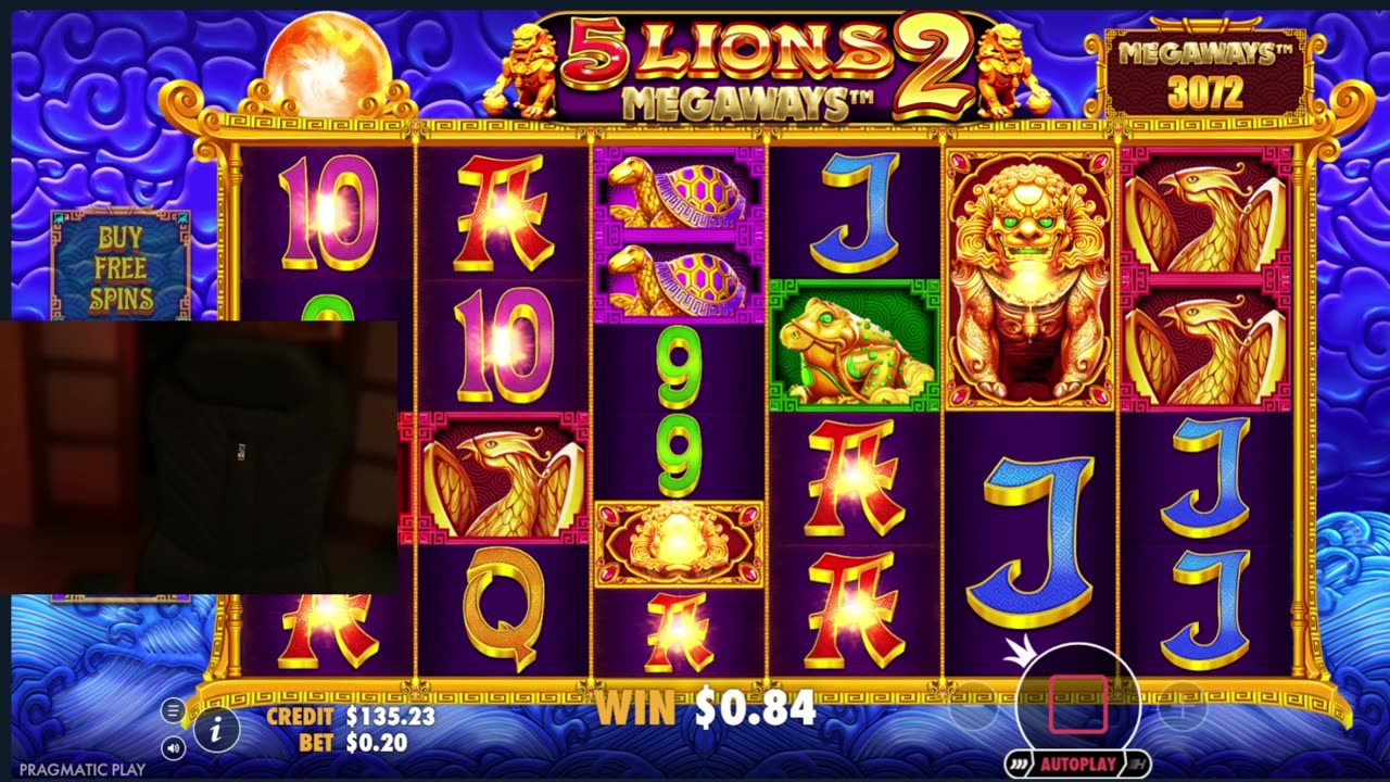 Max Win? Let’s Hunt! 1FS=1 Push-up #casino #liveslots