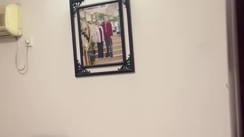 😱📡 You Won't Believe What This Morse Code Reveals! | TheHauntingHour