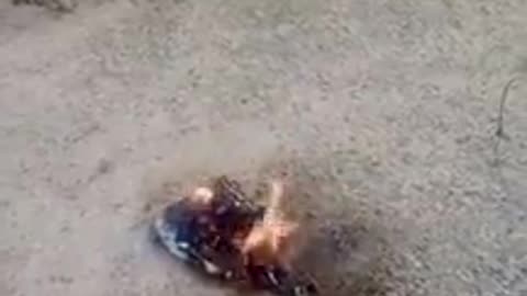 🔥🚀 Ukraine Russia War | New Incendiary Weapon in Geran-2 Drones Demonstrated | RCF