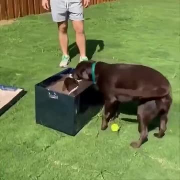 Meeting the new member of the family.. 😊