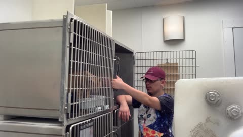 Socializing with Archie! (Part 2)