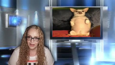 HB 20200824 HNNN w/bloopers