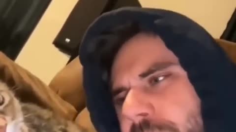 Funny animal videos
