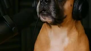 Hilarious Baby Podcast MUST WATCH!!