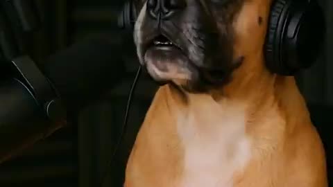 Hilarious Baby Podcast MUST WATCH!!