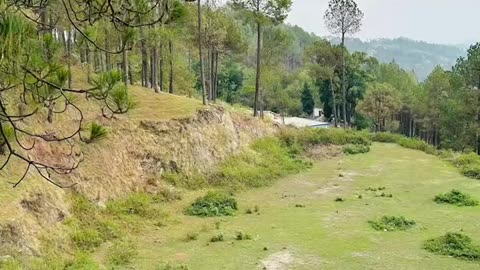 #Day22 #26May25 #uttarakhand #adalikhal #pahad #paurigarhwal #garhwali #garhwal #uttarakhandculture
