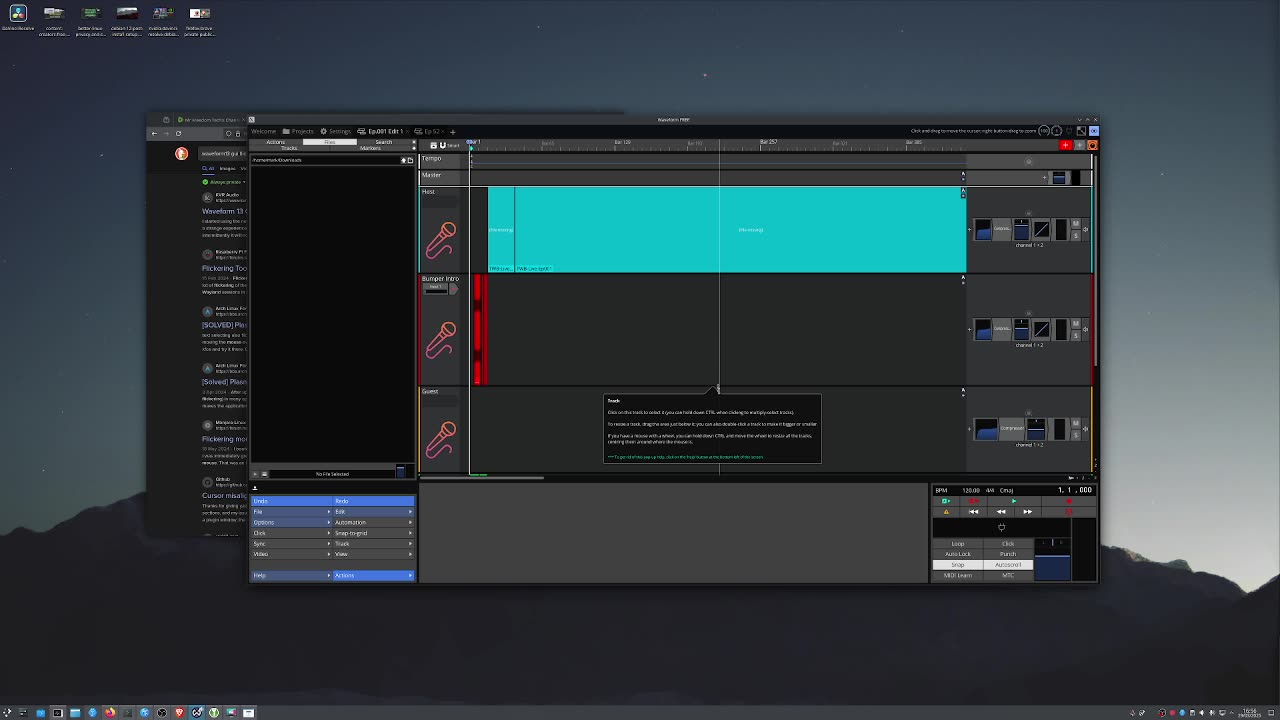 Waveform 13 on Debian 12 Bookworm / Plasma 6