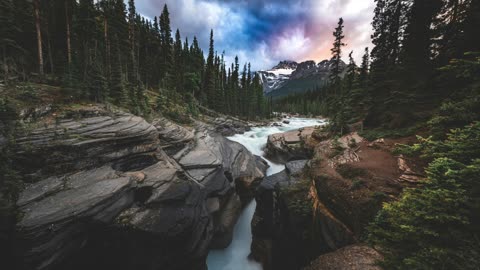 Four Messianic OT prophecies of what God says are experiences and evidence of a true Christian life