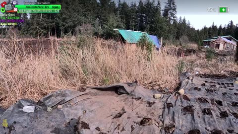 FARMSTEADING Isolated ALASKAN Village in the middle of the WOODS Building a Farm Grocery Store / Living the Dream | !Real !Homestead