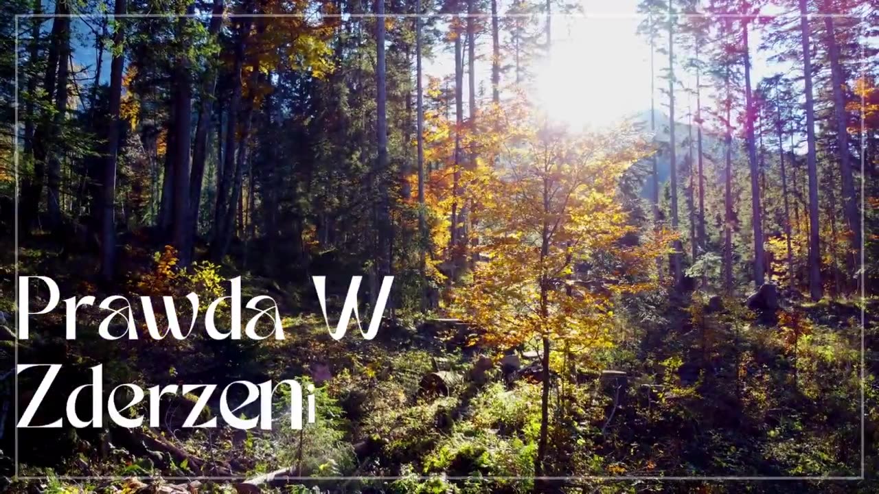 System Miłości. "SM-Melovox-Prawda-W-Zderzeniu" - Gabrielowo