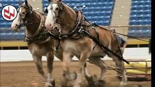 Trent Loos in the Morning - 12/15/2025