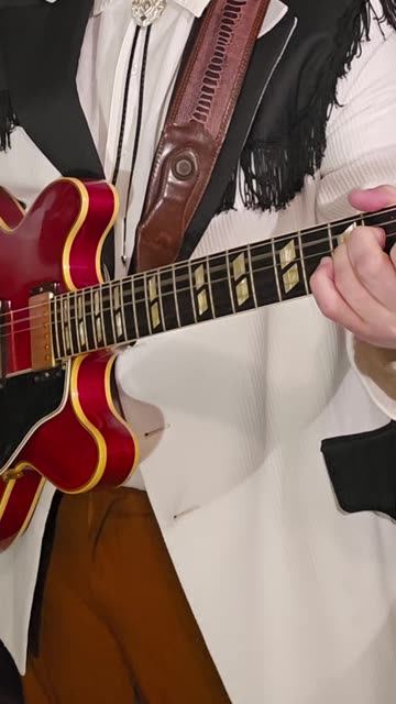 Trini Lopez what have I got of my own guitar example.