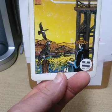 8-16-25 #fortunetelling