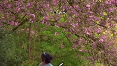 موسیقی ایرانی