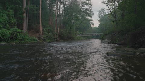 Davidson River Brevard NC ASMR
