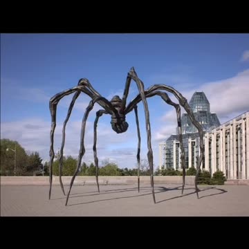 Tim Rifat TikTok Videos