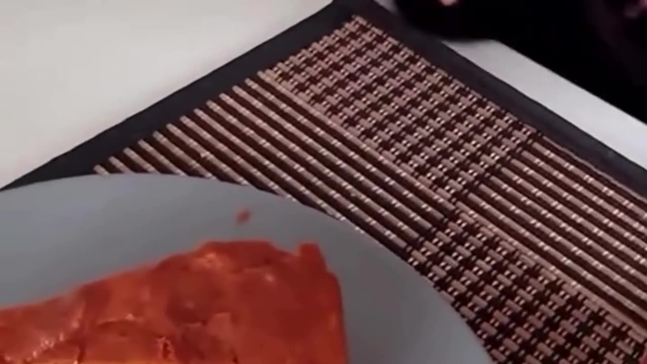 Cats😸😸😸😸😸😸they love food
