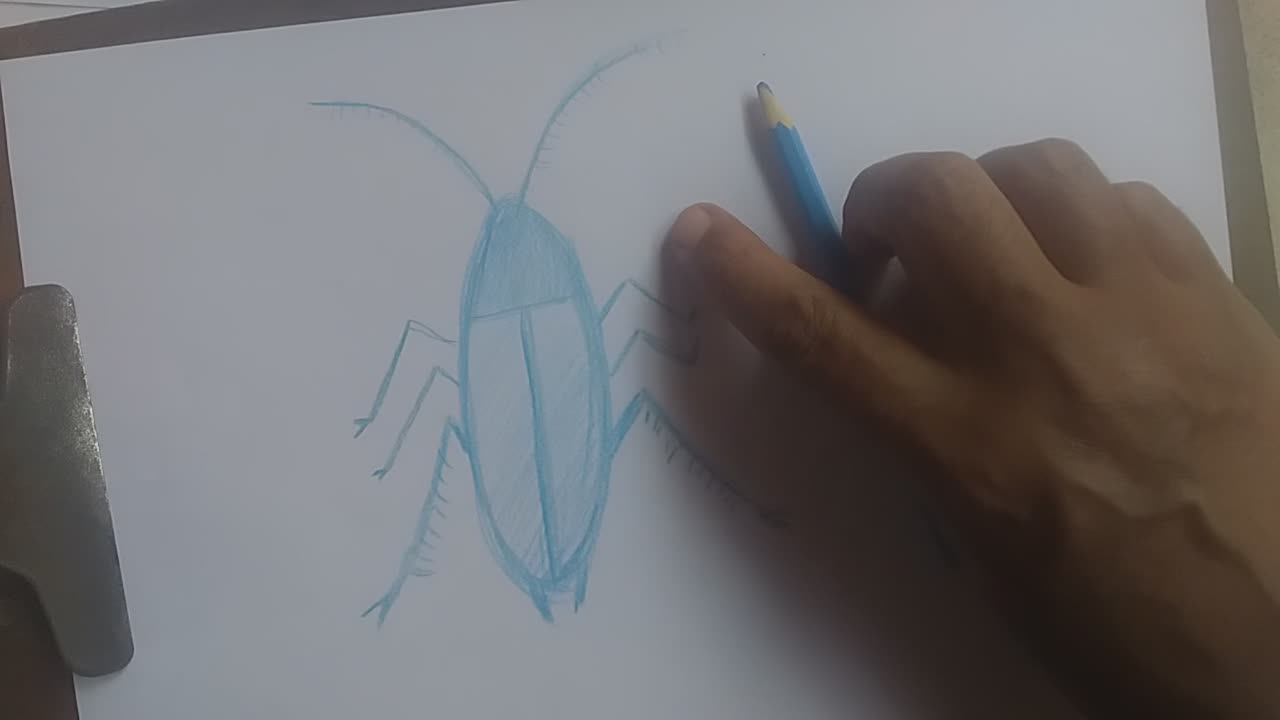 Barata