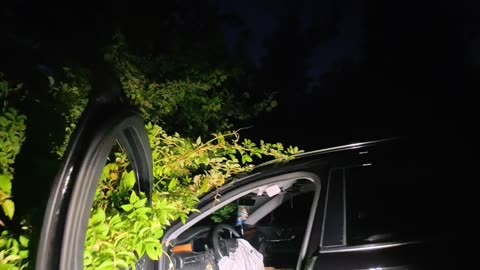 Hit pole closes road