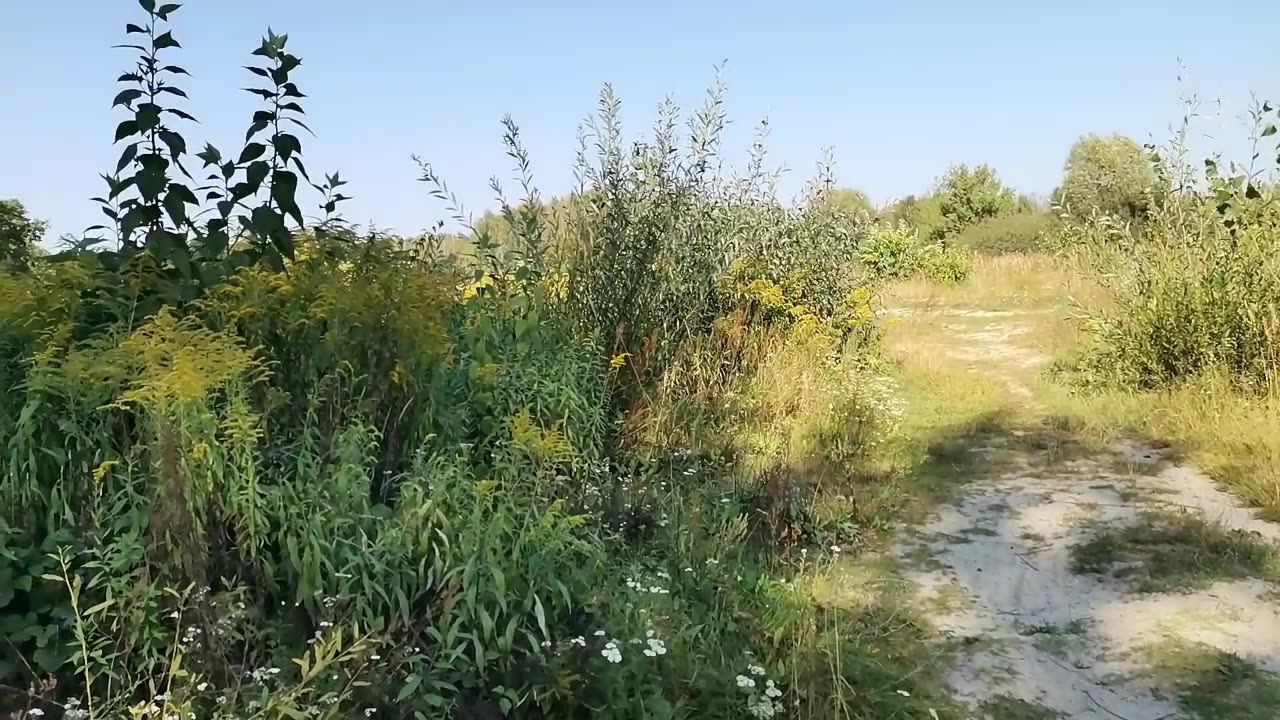 dobra wiadomość ...