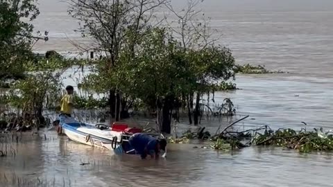 Daily Horoscope | Taurus 🌟