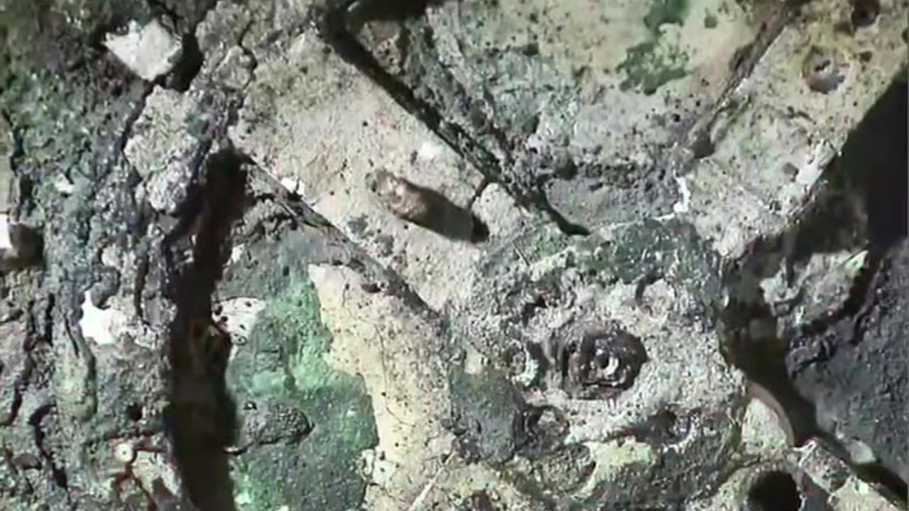 This_Diver_Discovered_Something_Ancient