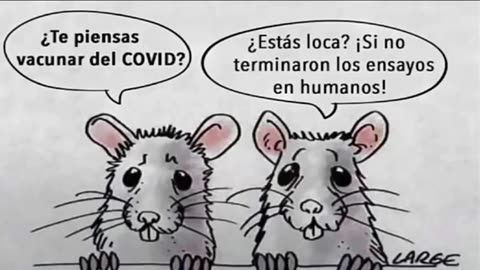 Tu decides