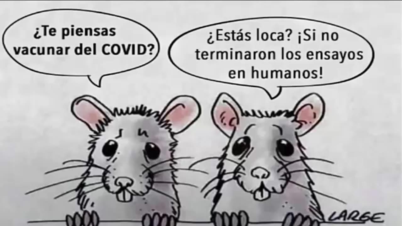 Tu decides