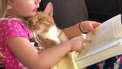 Shorts - Reading