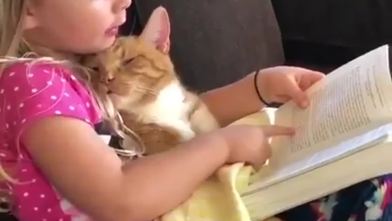 Shorts - Reading