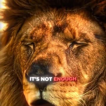 Grow Your Wealth | Financial Education Insights 💼🌟