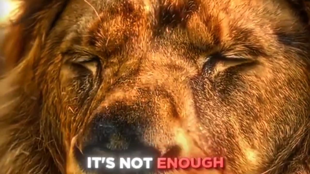 Grow Your Wealth | Financial Education Insights 💼🌟