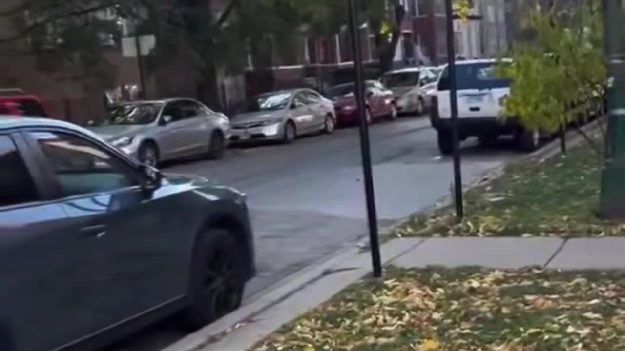 Karen in Albany Park, Illinois helps out a self-admitted illegal alien and is upset because