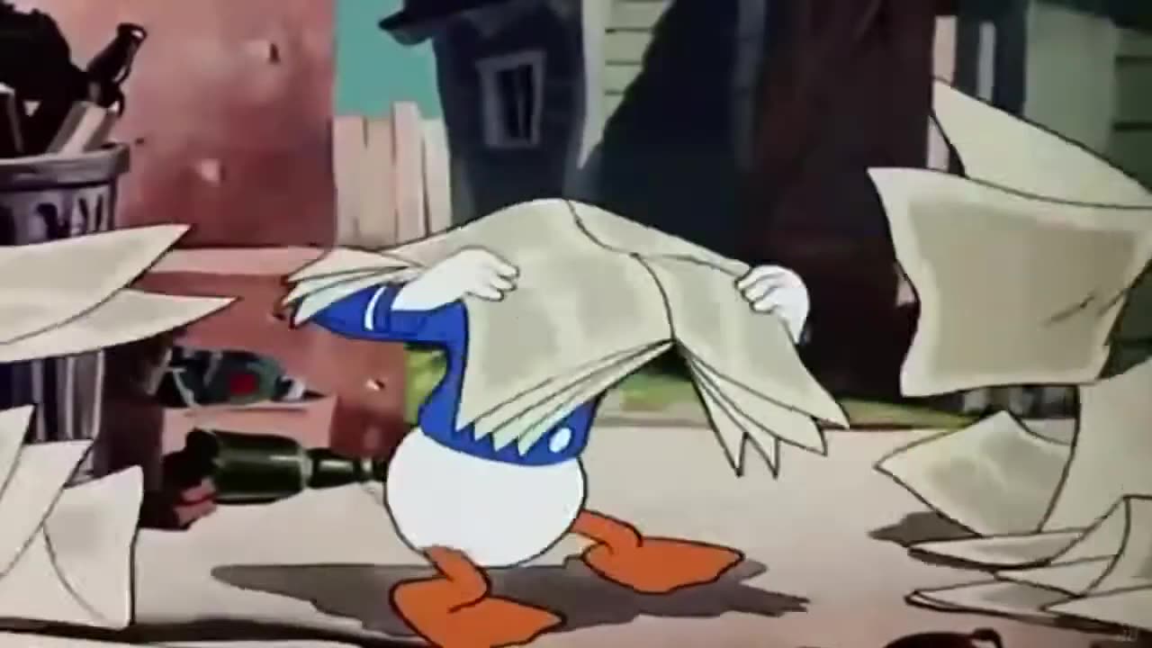 Donald Duck & Chip and Dale Cartoons