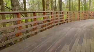 Descubre la emocionante vía ciclista VELO1 en Rusia