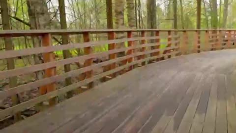 Descubre la emocionante vía ciclista VELO1 en Rusia