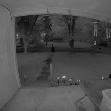 My friends are truly ate up