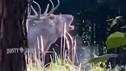 fun