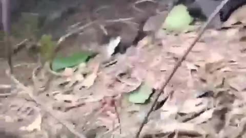 Russian Soldier Finds Himself Completely Alone After Attack On Camp