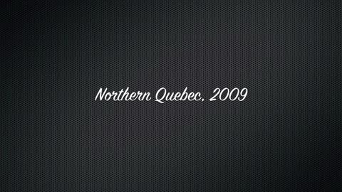 Quebec Caribou Hunt Short
