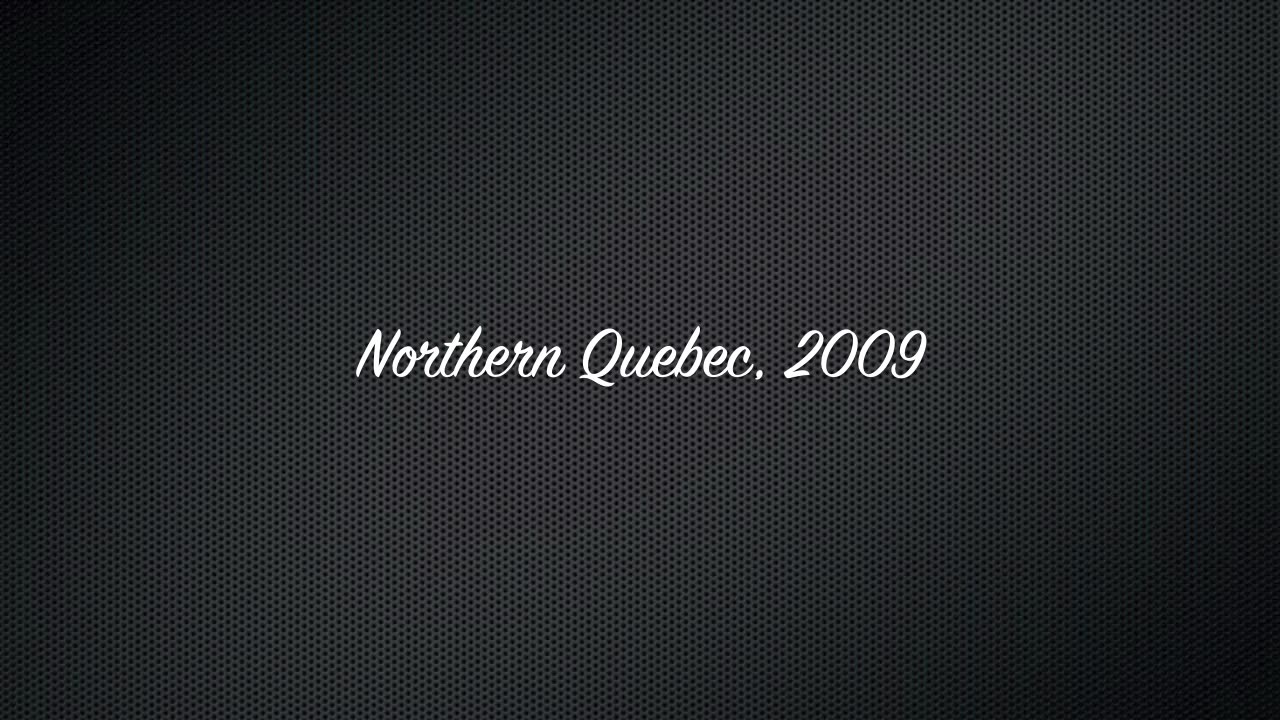 Quebec Caribou Hunt Short