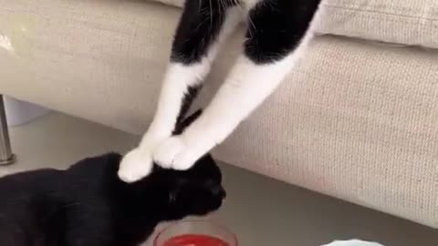 Have A Drink