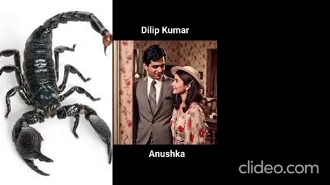 A AI created Dilip kumar and anushakha starrer video in hindi